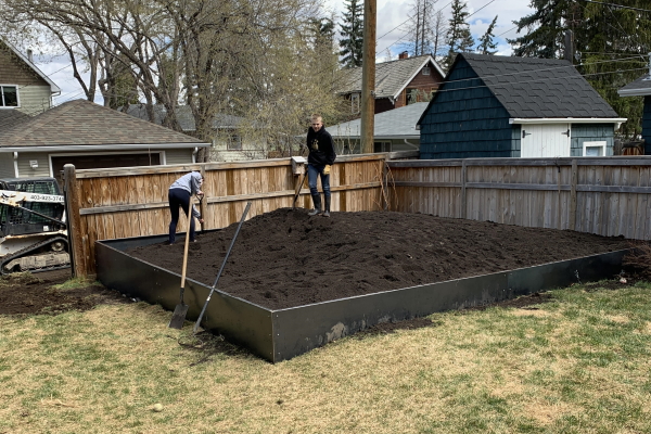 When do planters appear on Real Property Reports?