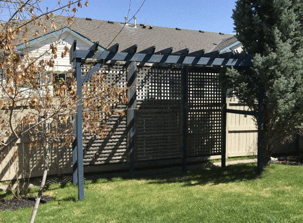 Spot the Bylaw Infraction – What is a Pergola?